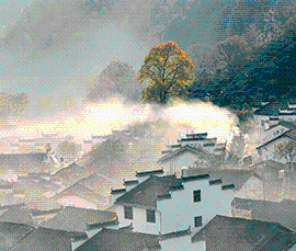 黃山市政務(wù)新媒體集約化云平臺